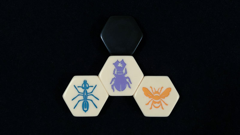 hive strategy - ant, beetle and queen bee on a dark background