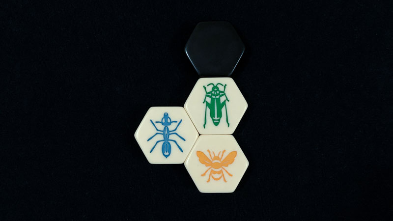 hive strategy - ant, grasshopper and queen bee on a dark background