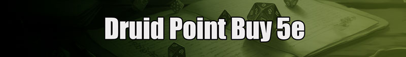 druid point buy 5e white text over a coloured background
